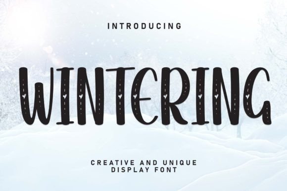 Wintering: The Sweet Handwritten Display Font for Campaigns